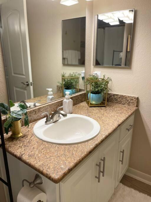 Beautiful/Spacious 2 Bedroom Houston Near Galleria エクステリア 写真